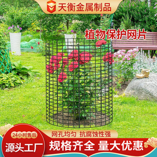 �羳�@�־G�����籣�oƬ�F�z�W���oƬ����ƴ��ֲ��W���o��