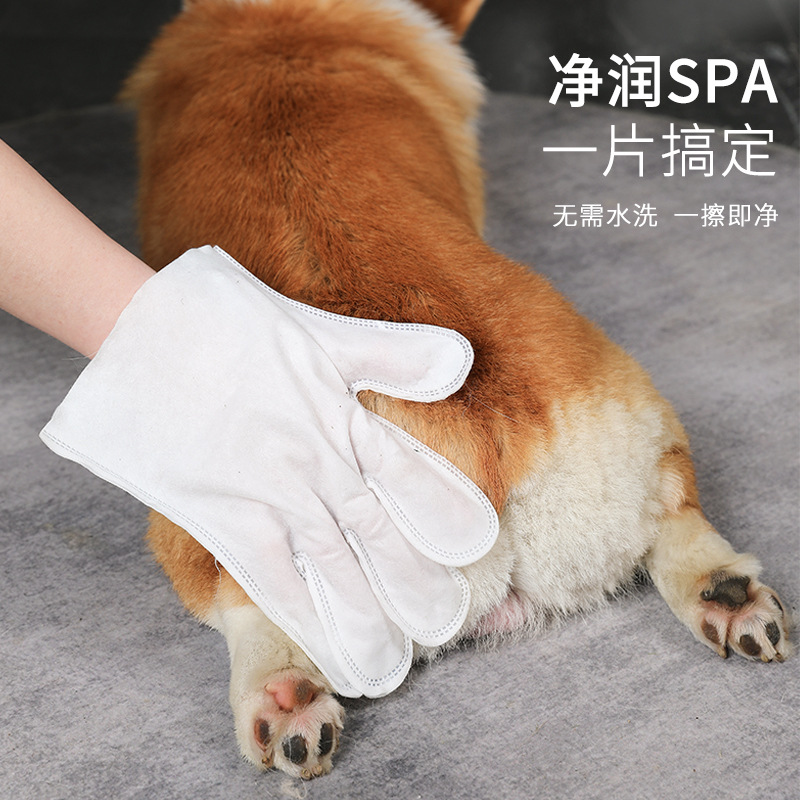 Guantes desechables perfumados para mascotas de embalaje personalizado Guantes de limpieza de limpieza de gatos desechables para baño de perros y desodorización