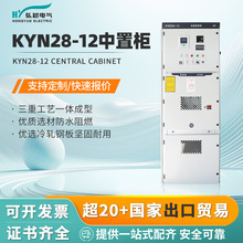 ��Խ늚�߉����Ù�KYN28-12/24 �����z�b�O��߉��͉��_�P�����