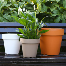 帝罗马帝罗马加仑盆白色大号盆栽加厚树脂塑料花盆家用轻奢高级感