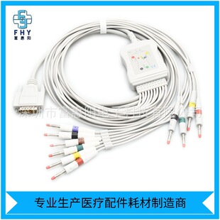 �����ձ����/����SE-12 ʮ������늈D�C����4.0�㽶�^