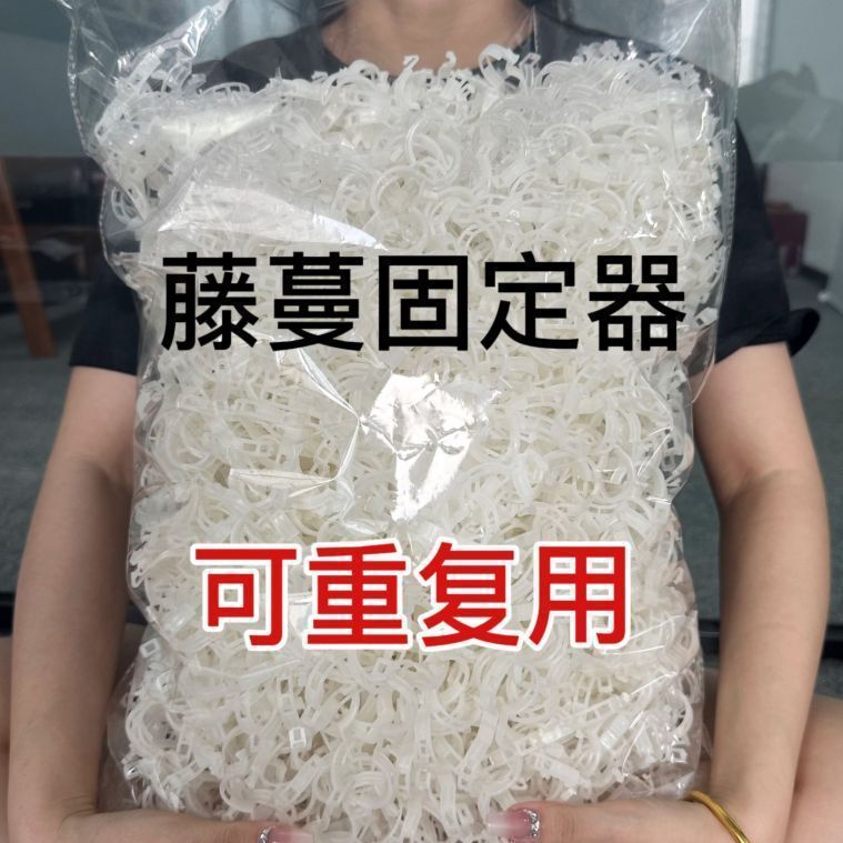 Green plant fruit tree plant fixing clip clip vine holder seedling climbing support rod fruit and vegetable seedling hanging clip