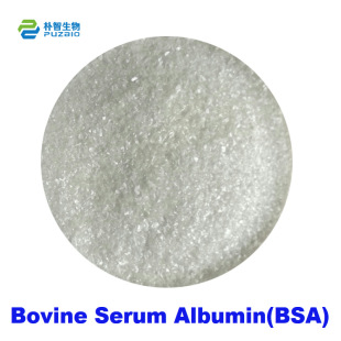 BSA(�M����)ţѪ��׵���98%����Bovine Serum Albumin
