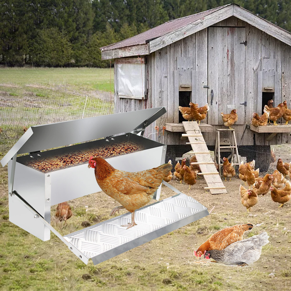 Comedero para pollos con pedal, comedero automático rectangular para pollos, comedero suplementario para pollos, patos y gansos, comedero automático para pollos.