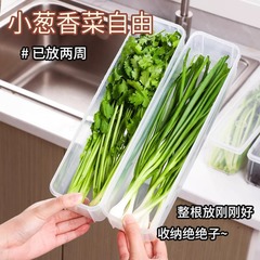 新鮮な箱の食品の大きいネギの香菜のコリアンダーの1本のショウガのニンニクの麺の箱の卵の収納の整理する箱の冷蔵庫の専用です。