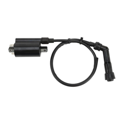 Ignition Coil for Alovlanma bobini (Babinalar)
