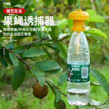 �Ϲ���ω���T��ᘷ��T�������T����ω��׽��������x�w�x�Tճ��