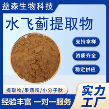 水飞蓟提取物10:1保健品原料全水溶水飞蓟破壁萃取浓缩粉现货包邮