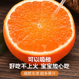 ���ڐ���38̖�t���˸��ِ��¹�����8̖ժ�l���ӱ�֭��Y���b���]