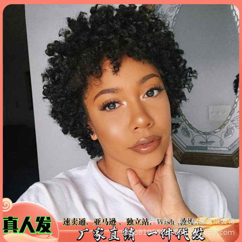 Foreign trade African hairstyle wig twisted curly wig African female wig real human hair small curly wig