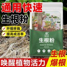 生根粉植物通用快速发根壮苗花树木扦插移栽定植用强壮生根营养液