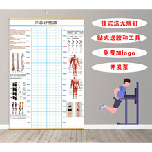 体态评估图健身房体测表瑜伽私教身体形体测评脊椎墙壁画装饰其他
