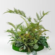 �҃ȷ���Gֲ��ˇ�պ��M�ϴ�d�b��ܾ��^ֲ���쾰�辰