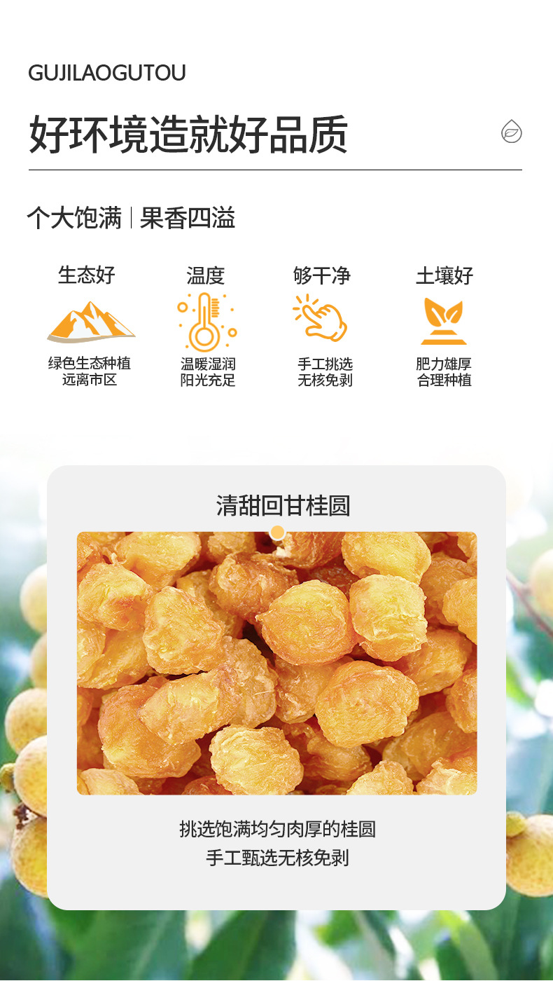 Dried Seedless Longan Flesh Gui Yuan Rou for Tea Soup and Daily Herbal Use 260g overview