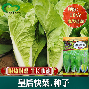 �ʺ��˷N��С�ײ����ļ��˷N���߲˷N�ݴ����̨�����r�������