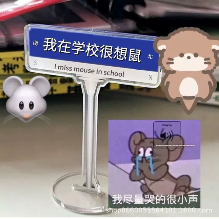 В школе я очень хочу создать брендовые акриловые сумасшедшие креативные маленькие украшения для студентов, партийных работников.