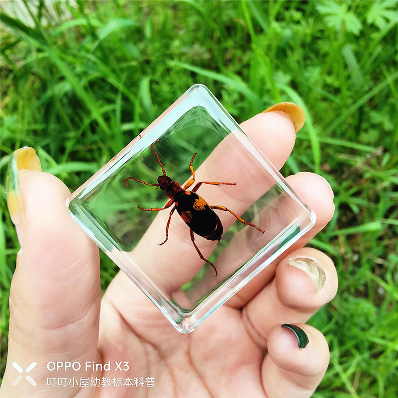 중국 호랑이 갑옷