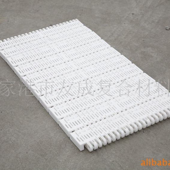 食品机械塑料传输网带，量大从优，成熟产品可来厂洽谈合作