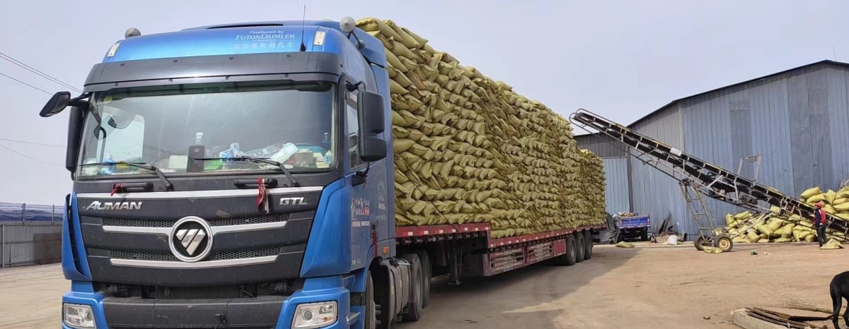 微信图片_20230715163831