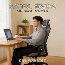 家用升降旋转办公学习椅人体工学椅电脑座椅舒适久坐透气网椅子