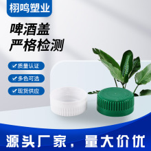 塑料瓶盖原浆鲜啤酒塑料瓶盖PE圆形啤酒盖38口径多色款现货可印制