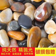 �껨ʯ|�����b�СͥԺ�~��ԭʯˮ�ྰ�^