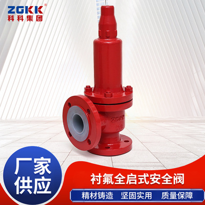 Manufactor supply caliber WCB/CF8 valve Manual Two-way Safety valve flange