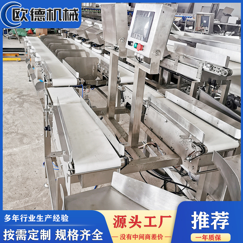 鸡爪鸡腿称重分选机 皮带式重量分级机设备 筛选准确工作使用快捷