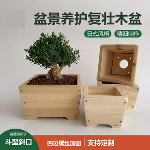 �S�����lľ��͉ѷ��B�辰ľ�������Զ��N�ɰ��S��Ͷ���ľ��