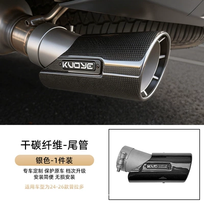 Suitable for the new Prado Exhaust pipe - silver