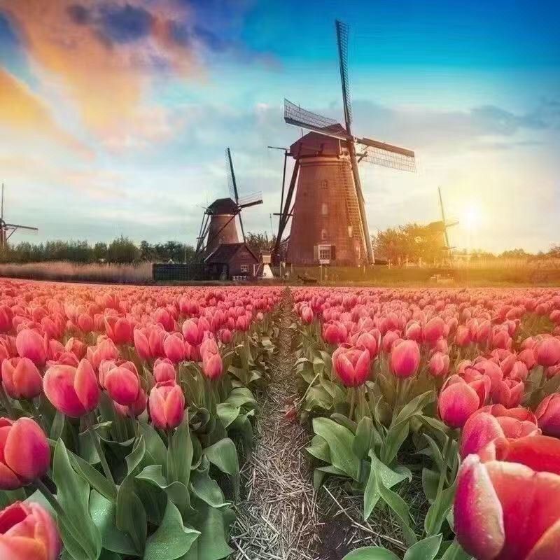 f93d2b74-36e6-4427-ae33-cd732fd53018.jpe