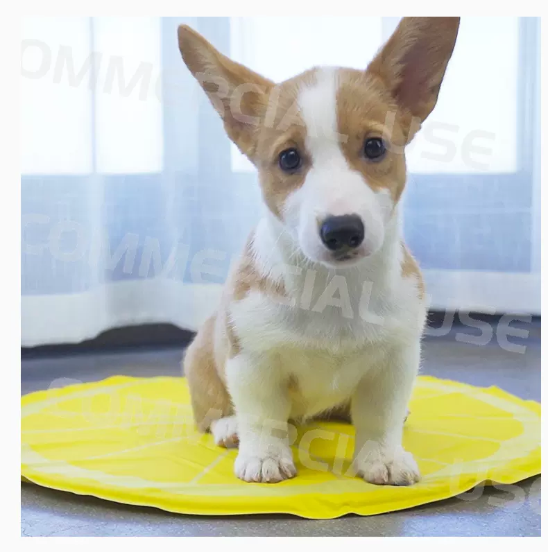 宠物用品冰垫狗狗凝胶降温冰垫泰迪狗猫咪凉垫清凉冰垫可设计logo