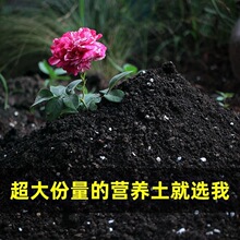 ͨ����Ӫ�����ֲ��������ֻ�������ֲ��������������ֲ��ֲ������