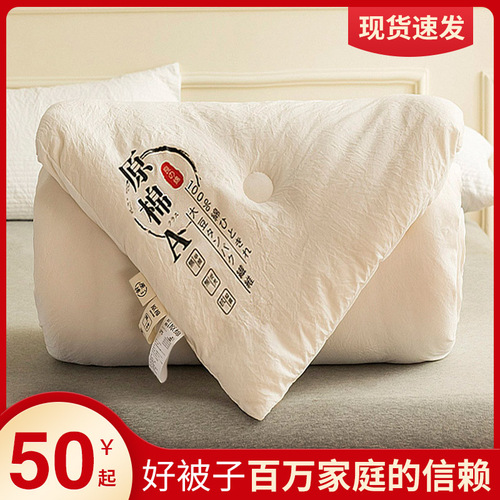 Class a pure cotton quilt core soybean quilt wholesale quilt spring autumn winter quilt raw cotton soybean fiber quilt universal cover for all seasons