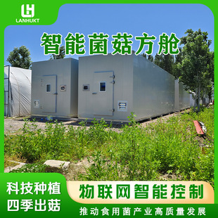 �ǻ۾�����œ�����h�̲ٿ������Ɵ�ʳ�þ��Nֲ�œ���a�S��