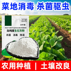农用生石灰粉种菜消毒灭菌防潮吸霉建筑用污水处理高纯度石灰除湿
