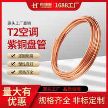 T2�o�p���{���~�����l���{�����������~�P��С�ڏ�ë������P��