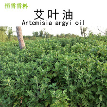 �S�ҹ������ݾ��Ͱ��~�Ͱ�Ħ�l�ᾫ�����ð���ֲ����ȡ������޹