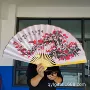 挂墙拍摄客厅婚庆折扇