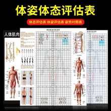 体态评估图健身房体测表瑜伽私教站姿形体脊椎身体修复三维装饰