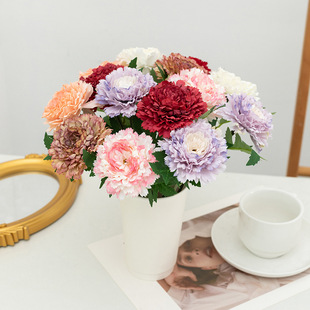 ���쿵��ܰĸ�H���Y��Ҿ��b����ٻ���ܰ��������ʯ�����l