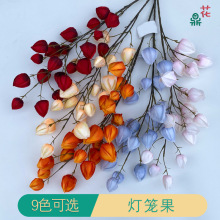 ֦\ ¿m 羳Ql滨 ҃Ȕ[Wʽٻ