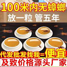 蟑螂药家用全窝端灭杀蟑螂剂厨房室内通用杀蟑饵剂胶饵家用杀蟑药