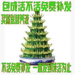 �����߸��F����ˮ��ˮ�Bֲ�����������^����lؔ���F�������_�\