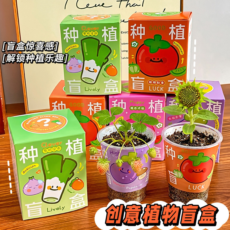 Small Potted Plants Planting Blind Box Kindergarten Observation Seed Points Redemption Children's Surprise Plant Blind Box Wholesale