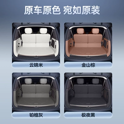 Trunk Mat: Suitable for 25 Models of Denza