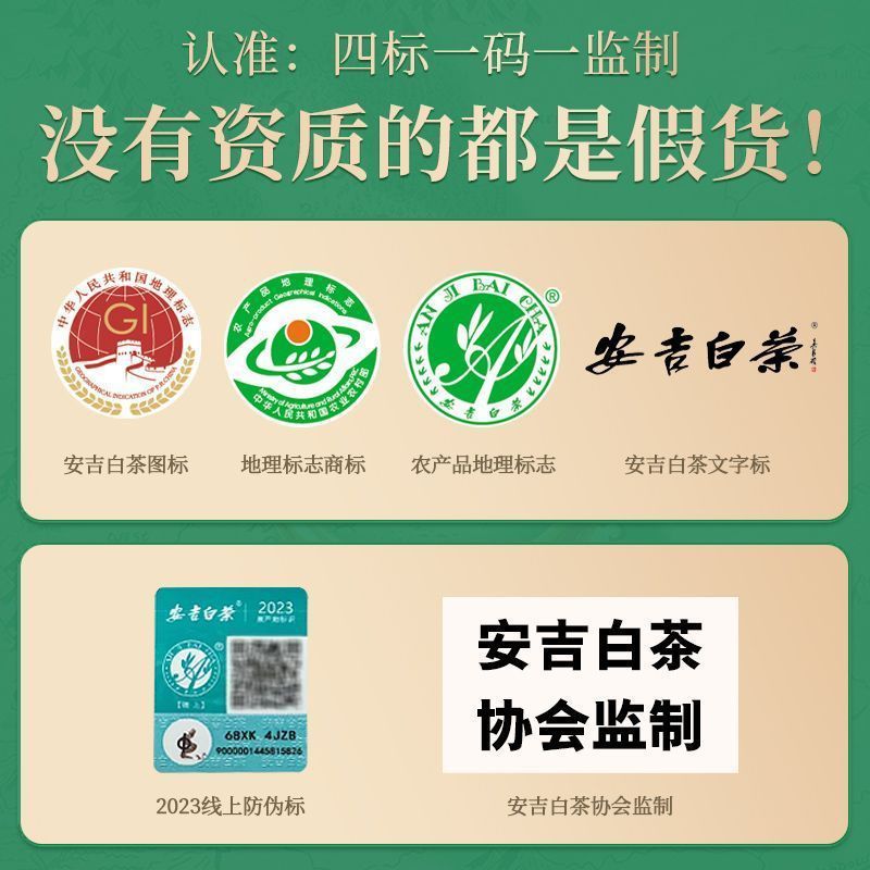 恋凝香正宗安吉白茶年新茶上市正宗特级明前嫩芽绿茶茶叶高档袋装|undefined