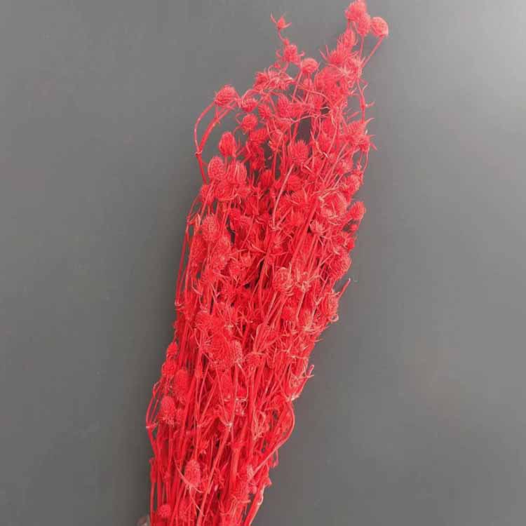 빅 레드 [약 100]