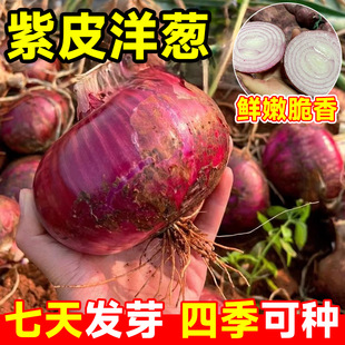 ��Ƥ���[�N�N�Ӵ�ȫ�tƤ�ش�A�[�ͺ��̨�����ļ��ɷNֲ�߮a�[�N