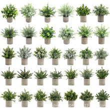 ��Ʒ����Gֲ���Կ羳�ȼ����Ե��㼈�{��ٻ��Ҿ��҃����b[��